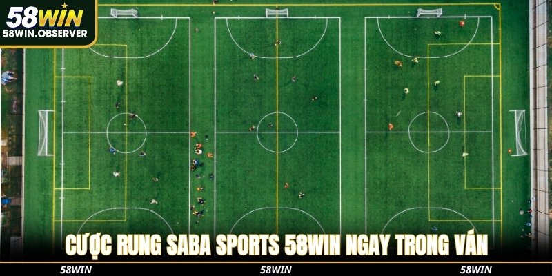 Cược rung Saba Sports 58WIN ngay trong ván